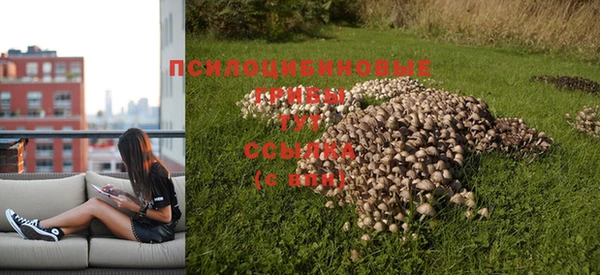 дурь Абинск