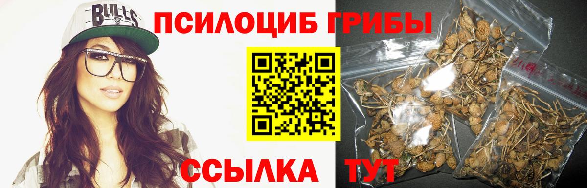 Псилоцибиновые грибы Cubensis  Вход с VPN  Нефтеюганск 