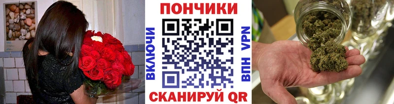 Шишки марихуана конопля  магазин продажи наркотиков  Нефтеюганск 